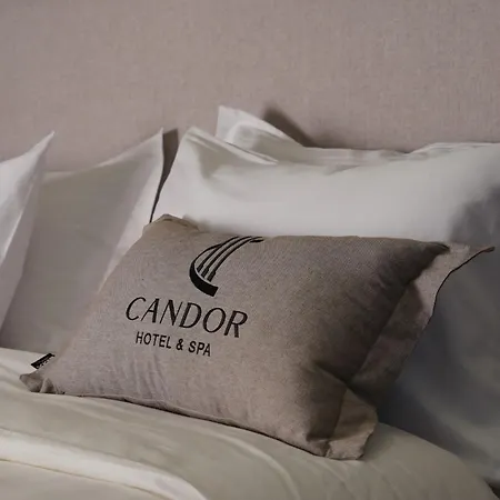Hotel Candor &